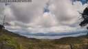 ./images/calvert/fitz-hugh-hecate/20250503/fitz-hugh-hecate20250503_135509M.jpg