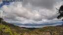 ./images/calvert/fitz-hugh-hecate/20250503/fitz-hugh-hecate20250503_141008M.jpg