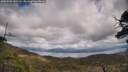 ./images/calvert/fitz-hugh-hecate/20250503/fitz-hugh-hecate20250503_141510M.jpg