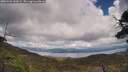 ./images/calvert/fitz-hugh-hecate/20250503/fitz-hugh-hecate20250503_142007M.jpg