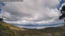 ./images/calvert/fitz-hugh-hecate/20250503/fitz-hugh-hecate20250503_143010M.jpg