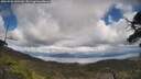 ./images/calvert/fitz-hugh-hecate/20250503/fitz-hugh-hecate20250503_143510M.jpg