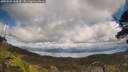 ./images/calvert/fitz-hugh-hecate/20250503/fitz-hugh-hecate20250503_144010M.jpg