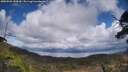 ./images/calvert/fitz-hugh-hecate/20250503/fitz-hugh-hecate20250503_144510M.jpg