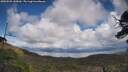 ./images/calvert/fitz-hugh-hecate/20250503/fitz-hugh-hecate20250503_145010M.jpg