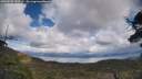 ./images/calvert/fitz-hugh-hecate/20250503/fitz-hugh-hecate20250503_145509M.jpg