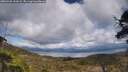 ./images/calvert/fitz-hugh-hecate/20250503/fitz-hugh-hecate20250503_151008M.jpg