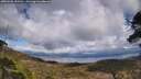 ./images/calvert/fitz-hugh-hecate/20250503/fitz-hugh-hecate20250503_151510M.jpg