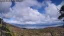 ./images/calvert/fitz-hugh-hecate/20250503/fitz-hugh-hecate20250503_152509M.jpg