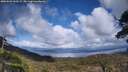 ./images/calvert/fitz-hugh-hecate/20250503/fitz-hugh-hecate20250503_153509M.jpg