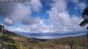 ./images/calvert/fitz-hugh-hecate/20250503/fitz-hugh-hecate20250503_154007M.jpg