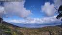 ./images/calvert/fitz-hugh-hecate/20250503/fitz-hugh-hecate20250503_160009M.jpg