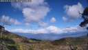./images/calvert/fitz-hugh-hecate/20250503/fitz-hugh-hecate20250503_163010M.jpg