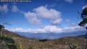 ./images/calvert/fitz-hugh-hecate/20250503/fitz-hugh-hecate20250503_163507M.jpg