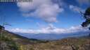 ./images/calvert/fitz-hugh-hecate/20250503/fitz-hugh-hecate20250503_164508M.jpg