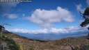 ./images/calvert/fitz-hugh-hecate/20250503/fitz-hugh-hecate20250503_165008M.jpg