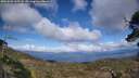 ./images/calvert/fitz-hugh-hecate/20250503/fitz-hugh-hecate20250503_165508M.jpg