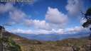 ./images/calvert/fitz-hugh-hecate/20250503/fitz-hugh-hecate20250503_170510M.jpg