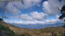 ./images/calvert/fitz-hugh-hecate/20250503/fitz-hugh-hecate20250503_171009M.jpg