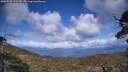 ./images/calvert/fitz-hugh-hecate/20250503/fitz-hugh-hecate20250503_171510M.jpg