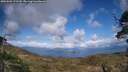 ./images/calvert/fitz-hugh-hecate/20250503/fitz-hugh-hecate20250503_172509M.jpg