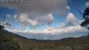 ./images/calvert/fitz-hugh-hecate/20250503/fitz-hugh-hecate20250503_175509M.jpg