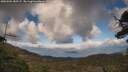 ./images/calvert/fitz-hugh-hecate/20250503/fitz-hugh-hecate20250503_182507M.jpg