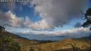 ./images/calvert/fitz-hugh-hecate/20250503/fitz-hugh-hecate20250503_190508M.jpg