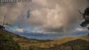 ./images/calvert/fitz-hugh-hecate/20250503/fitz-hugh-hecate20250503_200008M.jpg
