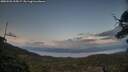 ./images/calvert/fitz-hugh-hecate/20250503/fitz-hugh-hecate20250503_205007M.jpg