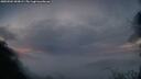 ./images/calvert/fitz-hugh-hecate/20250504/fitz-hugh-hecate20250504_053008M.jpg
