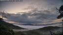 ./images/calvert/fitz-hugh-hecate/20250504/fitz-hugh-hecate20250504_054508M.jpg