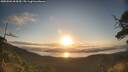 ./images/calvert/fitz-hugh-hecate/20250504/fitz-hugh-hecate20250504_065010M.jpg