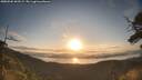./images/calvert/fitz-hugh-hecate/20250504/fitz-hugh-hecate20250504_065509M.jpg