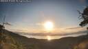./images/calvert/fitz-hugh-hecate/20250504/fitz-hugh-hecate20250504_071009M.jpg