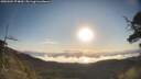 ./images/calvert/fitz-hugh-hecate/20250504/fitz-hugh-hecate20250504_074010M.jpg