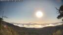 ./images/calvert/fitz-hugh-hecate/20250504/fitz-hugh-hecate20250504_075009M.jpg