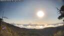 ./images/calvert/fitz-hugh-hecate/20250504/fitz-hugh-hecate20250504_075510M.jpg
