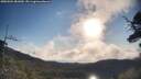 ./images/calvert/fitz-hugh-hecate/20250504/fitz-hugh-hecate20250504_081010M.jpg