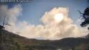 ./images/calvert/fitz-hugh-hecate/20250504/fitz-hugh-hecate20250504_081510M.jpg