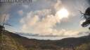 ./images/calvert/fitz-hugh-hecate/20250504/fitz-hugh-hecate20250504_084010M.jpg