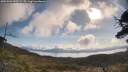 ./images/calvert/fitz-hugh-hecate/20250504/fitz-hugh-hecate20250504_090509M.jpg