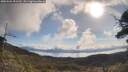 ./images/calvert/fitz-hugh-hecate/20250504/fitz-hugh-hecate20250504_091510M.jpg