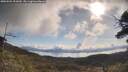 ./images/calvert/fitz-hugh-hecate/20250504/fitz-hugh-hecate20250504_092010M.jpg