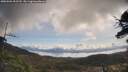 ./images/calvert/fitz-hugh-hecate/20250504/fitz-hugh-hecate20250504_092510M.jpg