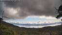 ./images/calvert/fitz-hugh-hecate/20250504/fitz-hugh-hecate20250504_100509M.jpg