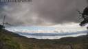 ./images/calvert/fitz-hugh-hecate/20250504/fitz-hugh-hecate20250504_102507M.jpg