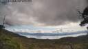 ./images/calvert/fitz-hugh-hecate/20250504/fitz-hugh-hecate20250504_103507M.jpg