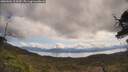 ./images/calvert/fitz-hugh-hecate/20250504/fitz-hugh-hecate20250504_104510M.jpg