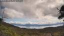 ./images/calvert/fitz-hugh-hecate/20250504/fitz-hugh-hecate20250504_105010M.jpg